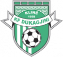 Kf Dukagjini