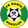 Banik Sokolov