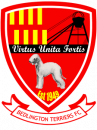 Bedlington Terriers