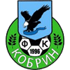 Kobrin