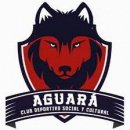 Aguara