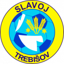 Slavoj Trebisov