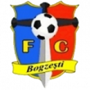 Bogzesti