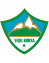 Yesil Bursa SK