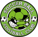 SoccerBall 2010