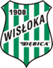 Wisloka Debica