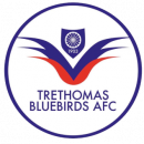 Trethomas Bluebirds