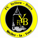 Yellow Boys Weiler