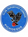 Condor de Pichidegua