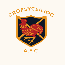 Croesyceiliog