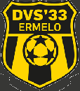 DVS 33