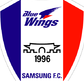 Suwon Bluewings