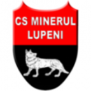 Minerul Lupeni