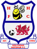 Holyhead Hotspur