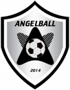 Ангелболл 2008