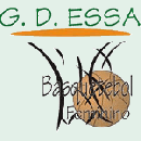 GDESSA-Barreiro