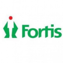 FС Fortis United