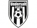 FC Undersalt