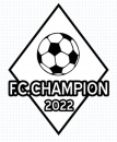 ФШ Champion 2015 (ст. Крыловская)