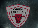 ЛФК "Oren Bulls"