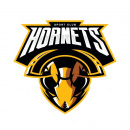 ФК "HORNETS"