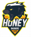 FC Honey Badgers