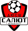 Салют 2013