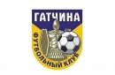 ФК Гатчина 2012