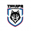 Тундра