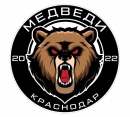 Медведи-23