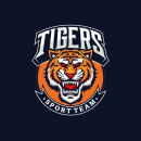 Team Tigers