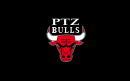 Ptz Bulls