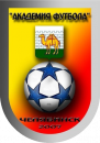Академия Футбола 2013
