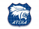 Арена