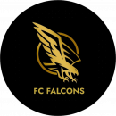 FC FALCONS