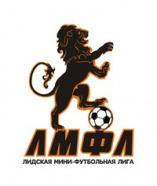 Лидская мини-футбольная лига