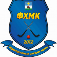 Чемпионат Городского округа Кашира по Хоккею с мячом