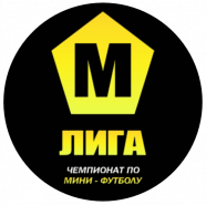 Чемпионат по мини - футболу среди любительских команд «М - ЛИГА»