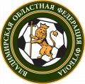 Кубок Владимирской области по футболу