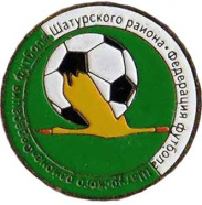 Чемпионат Городского округа Шатура по футболу среди команд возрастной группы 35 лет и старше
