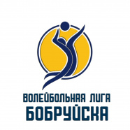 Открытый кубок по волейболу г. Бобруйска