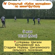 Открытый турнир по мини-футболу на «кубок молодежи»