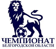 Чемпионат Белгородской области по футболу