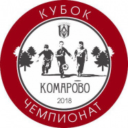 Чемпионат Комарово