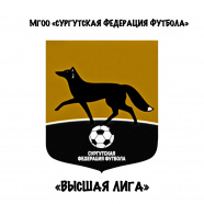Чемпионат города Сургута по мини-футболу среди мужских команд Высшая Лига