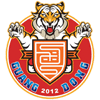 Guangdong Southern Tigers