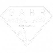 Sabr