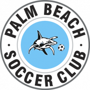 Palm Beach Sharks