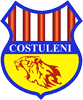 Costuleni