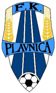 Druzstevnik Plavnica